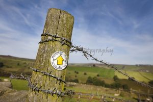 haworth moor rooute to top withens 4.jpg